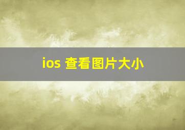 ios 查看图片大小